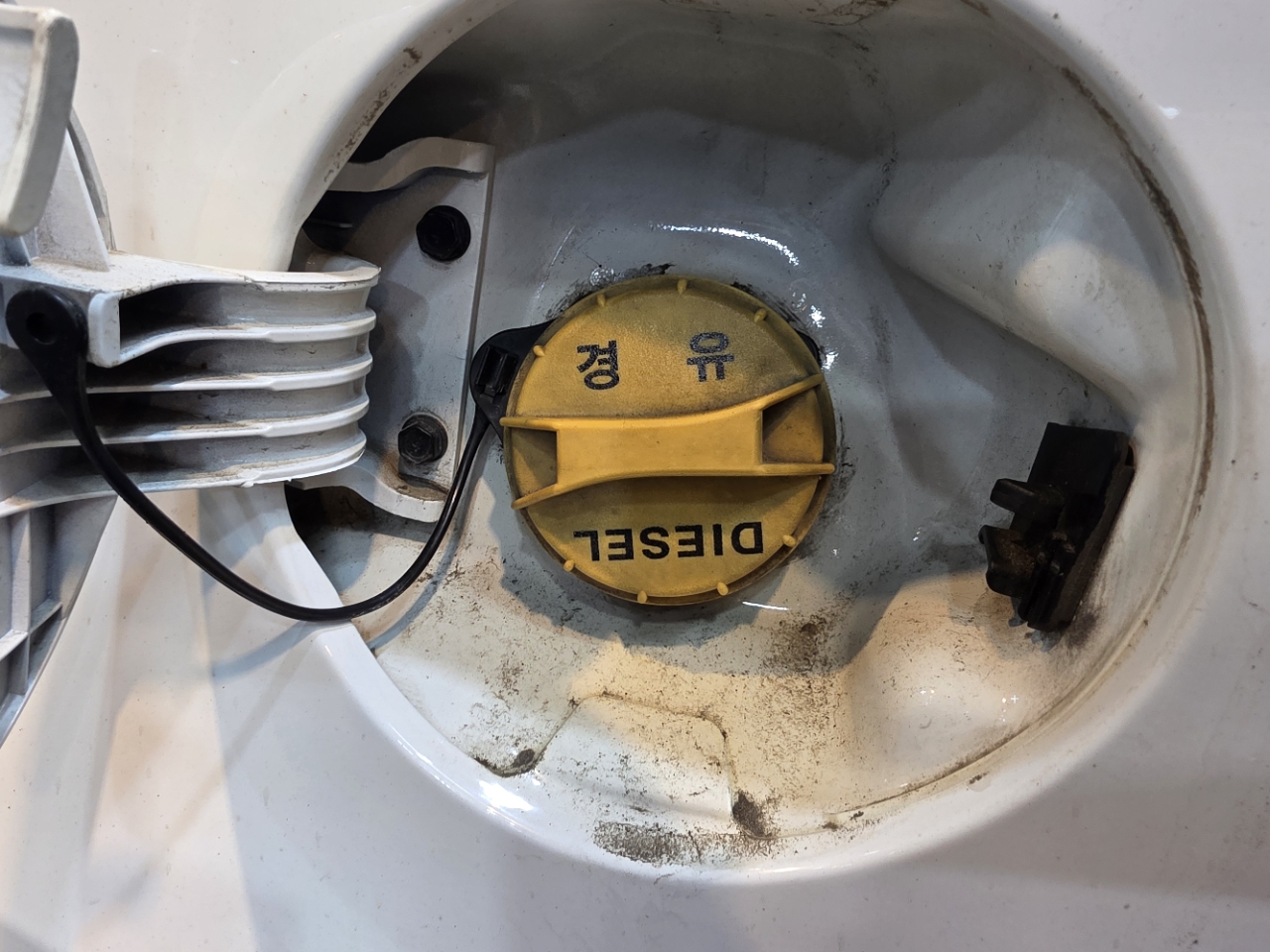 미스터디테일링_사진_20260910_13