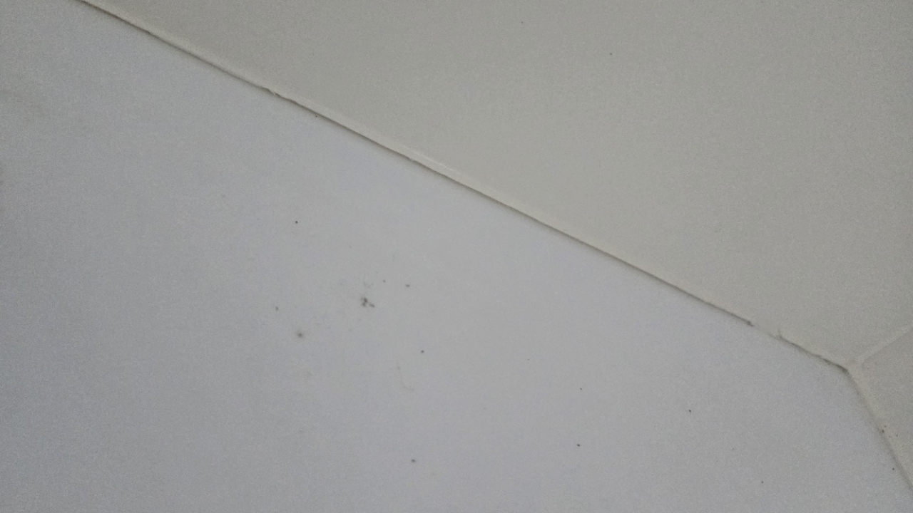 정직한사람들홈케어_사진_20261016_19